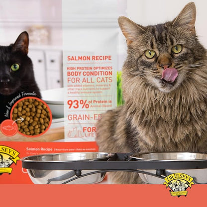 Dr. Elsey'S Cleanprotein Salmon Formula Dry Cat Food, 2 Pound (Pack of 1)