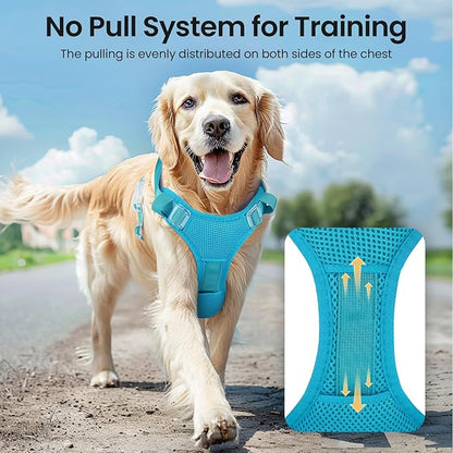 Light Up Dog Harness,Reflective Pet Harness Rechargeable,Led Dog Vest Harness for Night Walking,Adjustable Dog Safety Vest for Small Medium Large Dogs-No Pull,Blue,XL