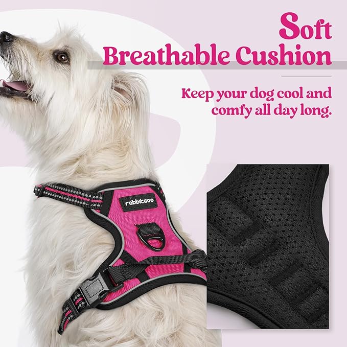 rabbitgoo Dog Harness No Pull with 2 Leash Clips, Adjustable Soft Padded, Reflective Oxford No Choke Pet Vest with Easy Control Handle for Puppy, Hot Pink, XS