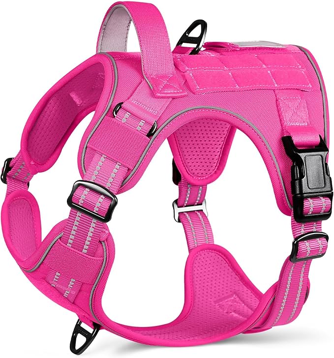 rabbitgoo Dog Harness for Large Dogs No Pull, Tactical Service Pet Vest with Molle and Control Handle, Adjustable and Reflective Military Harness for Easy Walking and Training, Rose Red, L