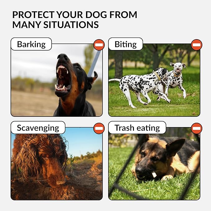CollarDirect Dog Muzzle German Shepherd Dalmatian Doberman Setter Leather Basket Medium Large Breeds (Black, Large)