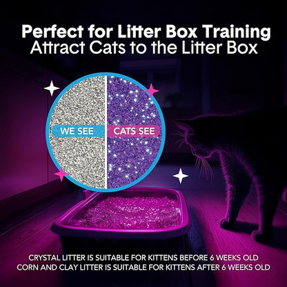 Boxie® Glo™ 30 Day Odor Control Clumping Clay Cat Litter, 16 lb, Multi-Cat, 99.9% Dust-Free, Low Tracking, UV Light Attractant, Superior Clumping for Easy Scooping