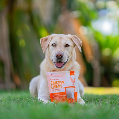 smallbatch Freeze Dried Dog Treats, Chicken Liver Treats for Dogs & Cats, High Protein, Single Ingredient Dog Treat for Training or Food Topper, Natural, Humanely Sourced Meat, Made in the USA, 3.5 oz