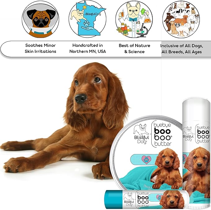 The Blissful Dog Irish Setter Boo Boo Butter, 16 Ounce