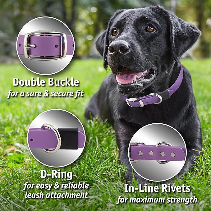Biothane Custom Dog Collar – Waterproof, Stink-Proof Personalized Collar with Name & Phone Number – Durable, Many Sizes and Colors – Assembled in USA (Bright Yellow)