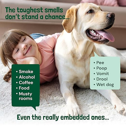 Sunny & Honey Carpet Deodorizer Powder - 20 Oz, Spring Mint - Odor Eliminator & Rug Freshener Powder for Pets & Kids