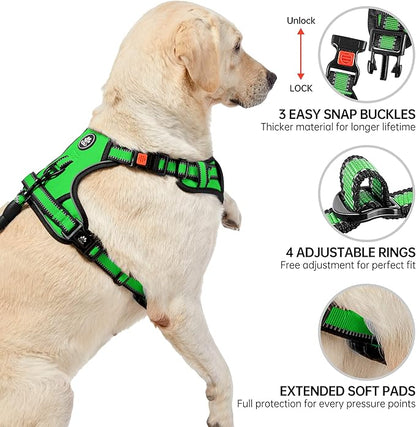 NESTROAD No Pull Dog Harness,Adjustable Oxford Dog Vest Harness with Leash,Reflective No-Choke Pet Harness with Easy Control Soft Handle for Small Dogs(Small,FluorescentGreen)