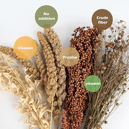 Natural Ear of Grain Flower&Herb Bedding Mate Habitat Decor, Adding Fun Hamster Accessories for Hamsters Gerbils Lemming