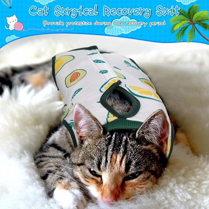 Nuanchu 3 Pieces Cat Recovery Suit Kitten Recovery Suit E-Collar Alternative for Cats and Dogs Abdominal Skin Anti Licking Pajama Clothes Sets(Watermelon Pattern,Large)