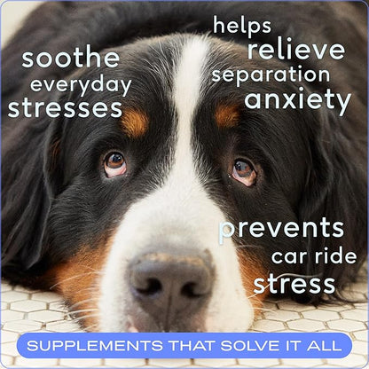 Native Pet Calming Chews for Dogs - Melatonin for Dogs Anxiety Relief - Grain Free All Natural Hemp Calming Treats & L-Theanine Helps Manage Stress & Separation Anxiety - Puppy Sleep Aid - 30 Chews