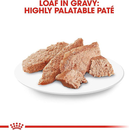 Royal Canin Persian Adult Breed Specific Loaf in Sauce Adult Wet Cat Food, 3 oz can (6-Pack)