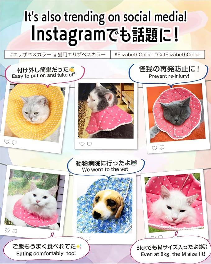 Elizabethan Collar (美/首巻/黄S)