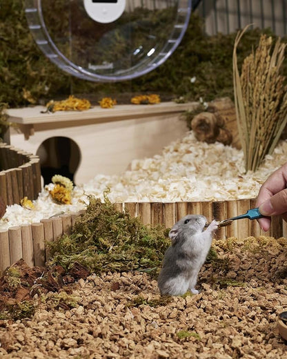 Niteangel Small Animal Snack & Treats - Small Critter Natural Treat for Dwarf Syrian Hamsters Gerbils Mice Sugar Glider Hedgehogs Chickens Birds (Freeze-Dried Grasshopper)