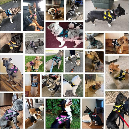 Bolux Dog Harness, No-Pull Reflective Dog Vest, Breathable Adjustable Pet Harness with Handle for Outdoor Walking - No More Pulling, Tugging or Choking (Purple, S)