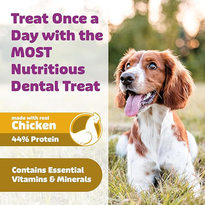 Dog Dental Treats – Vet VOHC Approved, Removes Tartar & Cleans Teeth – Yummy High Protein Chicken Treat for Large Dogs (Mini Pack, 6 Count)