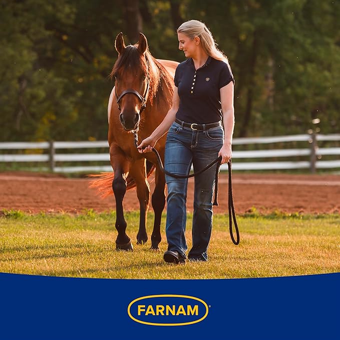 Farnam SuperMask II Fly Mask Without Ears for Larger Horses, Full Face Coverage and Eye Protection from Insect Pests, Structured Classic Styling Mesh with Plush Trim, XL Size