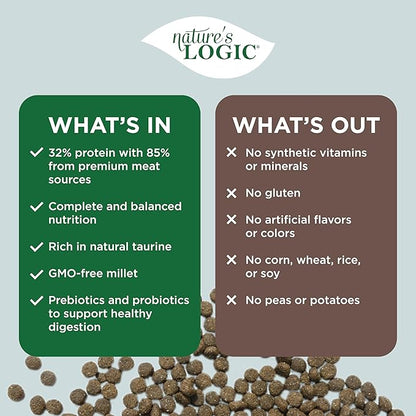 NATURE'S LOGIC Dry Dog Food - 100% Natural - No Synthetics - for All Ages, Sizes, Breeds - Free from Common Allergens, High Protein - Lamb Meal Feast, 25lbs