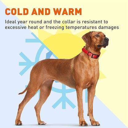 Dogline Biothane Waterproof Dog Collar Strong Coated Nylon Webbing with Black Hardware Odor- Proof for Easy Care Easy to Clean High Performance Fits Small Medium or Large Dogs, Cherry Red