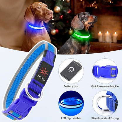 Flashseen LED Dog Collar, Light Up Dog Collar USB Rechargeable, Brightest Dog Lights for Night Walking, Adjustable Dog Collar Light for Dog Safety(Medium, Royal Blue)
