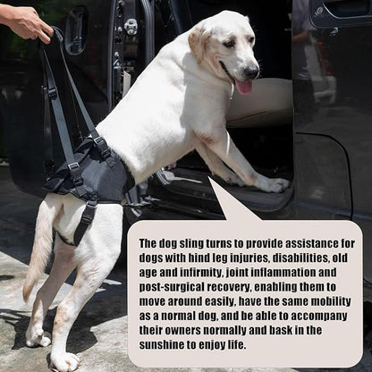 Dog Lift Harness for Dogs with Disabled Arthritis and Weak Back Legs, humanized Design with Comfortable Materials, Adjustable Back Legs and Straps, Suitable for Helping Dogs to Recover and Walk. (S)
