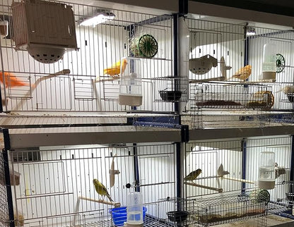 HappyBird Lightning (A Divison of M&M Cage) 8" LED linkable Light bar Without Power Source for Multiple Bird Breeder Cages, Full Spectrum LED. Will NOT Run ON ITS OWN (Single)