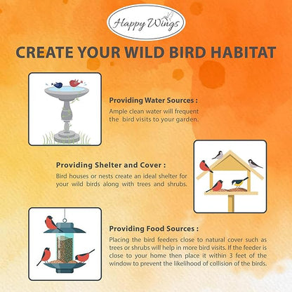 Nyjer/Thistle Seeds Wild Bird Food - 5 Pounds I No Grow Seed I Bird Seed for Wild Birds