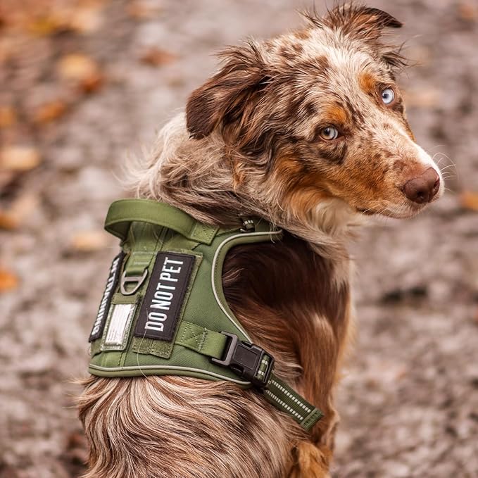 rabbitgoo Dog Harness for Large Dogs No Pull, Tactical Service Pet Vest with Molle and Control Handle, Adjustable and Reflective Military Harness for Easy Walking and Training, Brown, XL