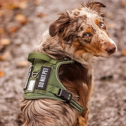 rabbitgoo Dog Harness for Large Dogs No Pull, Tactical Service Pet Vest with Molle and Control Handle, Adjustable and Reflective Military Harness for Easy Walking and Training, Brown, XL