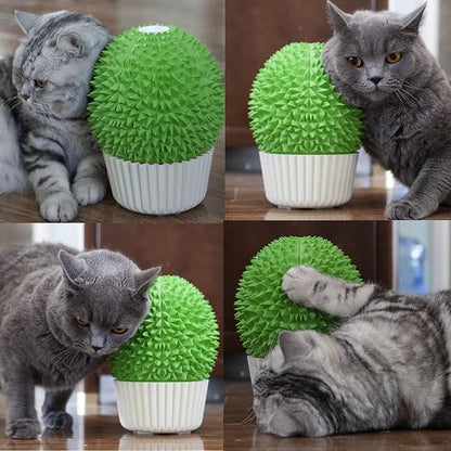 Catnip Feeder - Cat Face Scratcher Wall Corner Massage Comb for Indoor Cats Self Grooming Brush (Green)