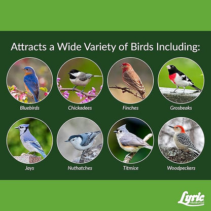 Lyric Fine Tunes No Waste Bird Seed 5 lb. Bag and Lyric Finch Small Songbird Wild Bird Food 5 lb. Bag for Outdoor Bird Feeders