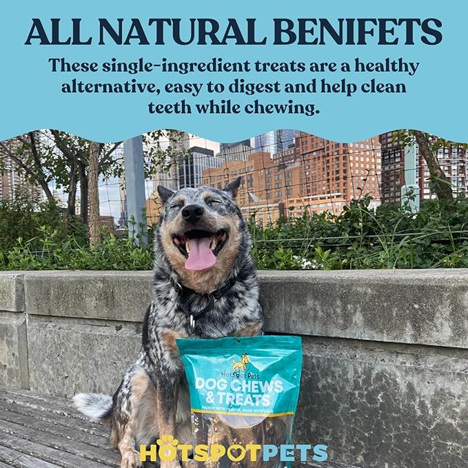 hotspot pets 10 Pack - 6-7 Inch Certified Facility Rawhide Dog Chews - from Grass Fed Brazilian Cows - Promotes Tooth Health and Good Behavior (10 Pack)