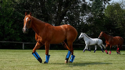 Warrior Fly Boots for Horses - Breathable Mesh Horse Boots for Fly Protection & Leg Comfort - Set of 4 (Knight Warrior, Red)