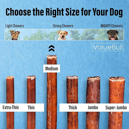 ValueBull Bully Sticks for Dogs, Medium 12 Inch, 50 Count - All Natural, Grass Fed, Single Ingredient, Long Lasting Dog Treats