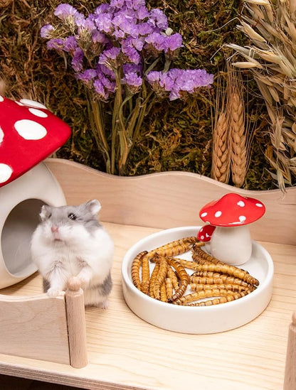 Niteangel Small Animal Snack & Treats - Small Critter Natural Treat for Dwarf Syrian Hamsters Gerbils Mice Sugar Glider Hedgehogs Chickens Birds (Dried Worms- 0.9oz (25g))