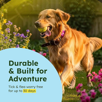 BugMD Paw Guardian Flea & Tick Pendant (2-Pack) with AirTag Holder – Plant-Based Flea & Tick Prevention for Dogs – Pet Collar Tag & GPS Tracker Holder for Dogs – Pink