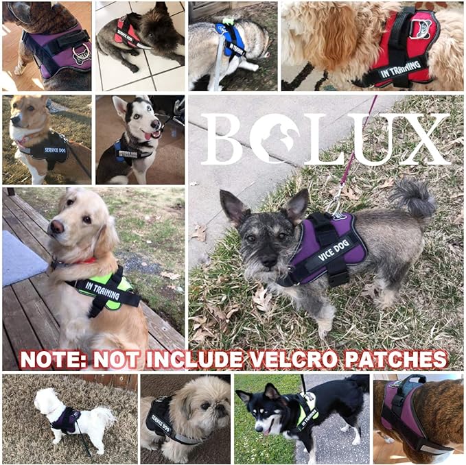 Bolux Dog Harness, No-Pull Reflective Dog Vest, Breathable Adjustable Pet Harness with Handle for Outdoor Walking - No More Pulling, Tugging or Choking (Black, XS)