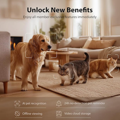 Automatic Cat Feeder with Camera, 1080P HD AI Pet Recognition Recording, 5G WiFi APP Remote Control, Timed Programmable Food Dispenser, Two-Way Audio, with Night Vision Function and Desiccant