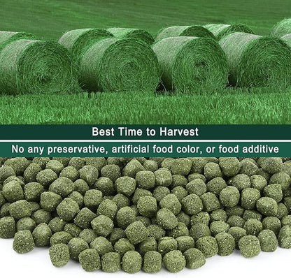 Timothy Hay Cubes 60 oz (6 * 10 oz) with Small Size - Timothy Grass Pellets for Tortoises Rabbits Guinea Pig Chinchilla