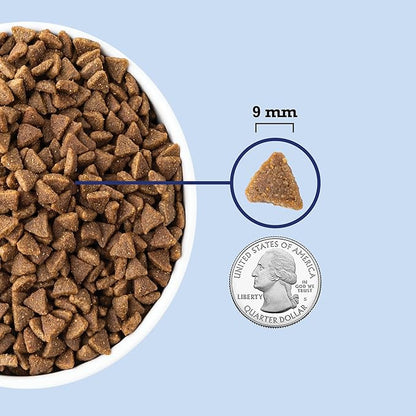 ACANA Indoor Entrée Fish Recipe Dry Cat Food 10lb Bag