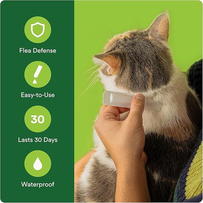 Plus Flea Prevention for Cats, Cat and Kitten Treatment & Control, Small and Large, Fast Acting Waterproof Topical Drops, 6 Month Supply