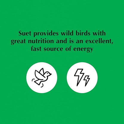 C&S Sunflower Suet Nuggets, Suet Nuggets for Wild Birds, 8 Lbs