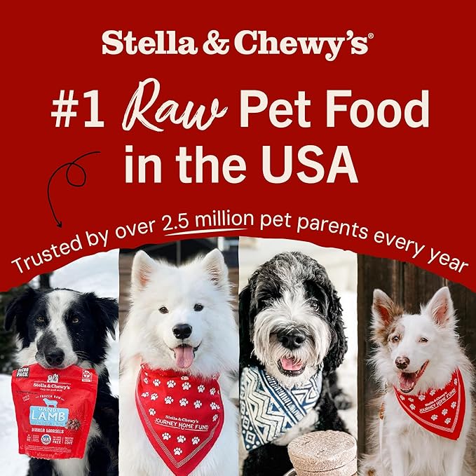Stella & Chewy's Freeze-Dried Raw Dinner Patties - Simply Venison Recipe - High Protein Grain-Free Puppy & Dog Food - Perfect For Picky Eaters - 14 oz