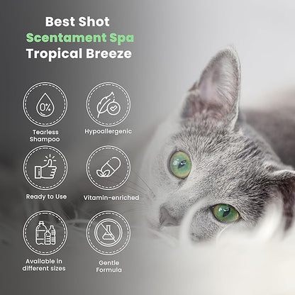 Best Shot Scentament Spa Seasonal Body and Facial Wash, Tearless Shampoo, Hypoallergenic Body Wash, Removes Tear Stains, Tropical Breeze, 16 Oz.