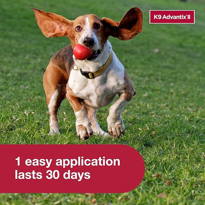 K9 Advantix II Medium Dog Vet-Recommended Flea, Tick & Mosquito Treatment & Prevention | Dogs 11-20 lbs. | 1-Mo Supply (Pack of 3)