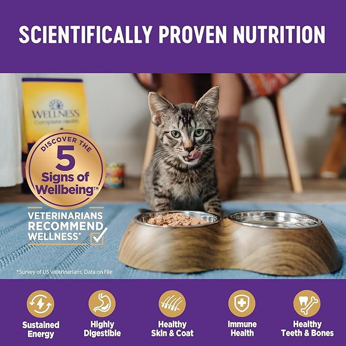 Wellness Complete Health Pate Kitten Wet Cat Food, Natural, Protein-Rich, Grain Free, 3 Ounce, 12 Pack, (Whitefish & Chicken Variety Pack)