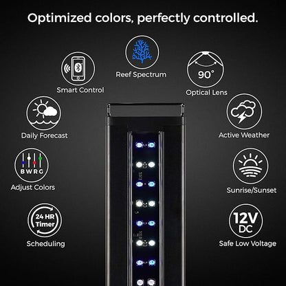 CURRENT USA 36-48" Inch Orbit Marine IC Loop LED Saltwater Reef Marine Aquarium Light with Bluetooth App Control | Wireless Lighting & eFlux Wave Pump Control for Fish Tank (4206)