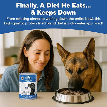 Dave's Dog Food Bland Diet Dog Food for Sick Dogs with Upset Stomach (Chicken & Rice), Economy Size for Large Pups or Big Eaters, Sensitive Stomach, 22 oz (Case of 12)