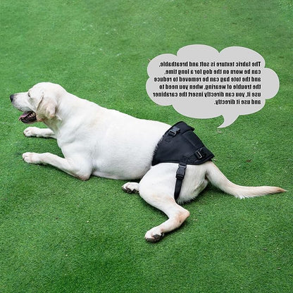 Dog Lift Harness for Dogs with Disabled Arthritis and Weak Back Legs, humanized Design with Comfortable Materials, Adjustable Back Legs and Straps, Suitable for Helping Dogs to Recover and Walk. (M)