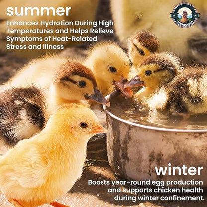 Chick’n Aid, 8 oz Essential Chicken Supplement, Ideal for Hydration, Immunity, Digestive Health. Enhanced with Poultry Vitamins, Electrolytes, and Probiotics, for Chickens, Ducks, Turkeys
