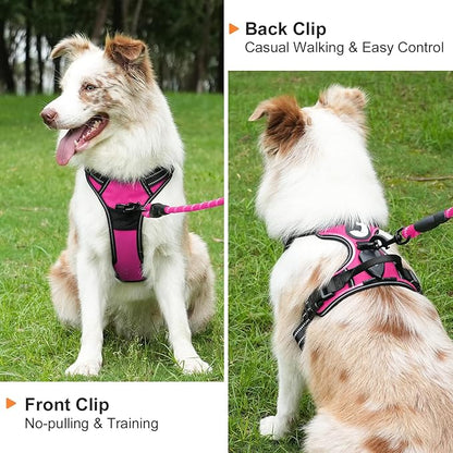 Taglory Light Up Dog Harness, Rechargeable No Pull Dog Vest with 3 Lightning Modes, Reflective Dog Harness with 2 Leash Clips & 4 Adjustable Slide Strips for Large Dogs, Hotpink-Hotpink, L